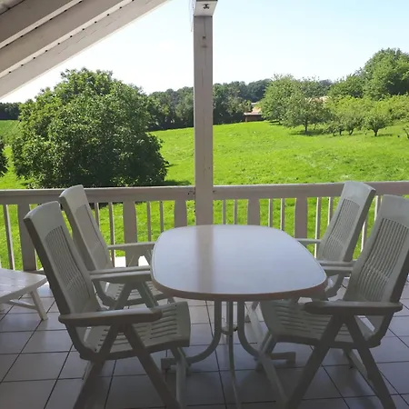 Apartment Neu Odenwald Rimhorn